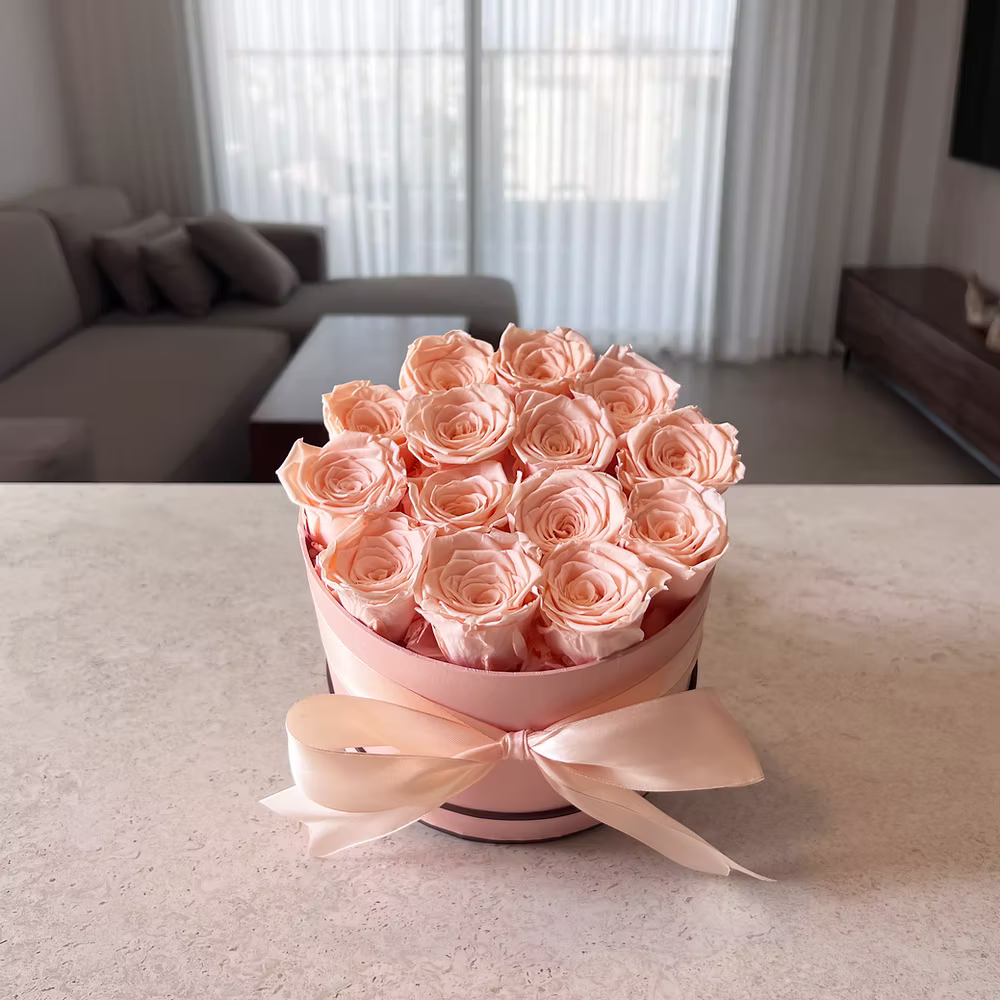 אירועים מיוחדים