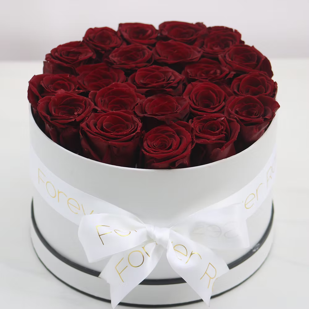 הנמכרים ביותר