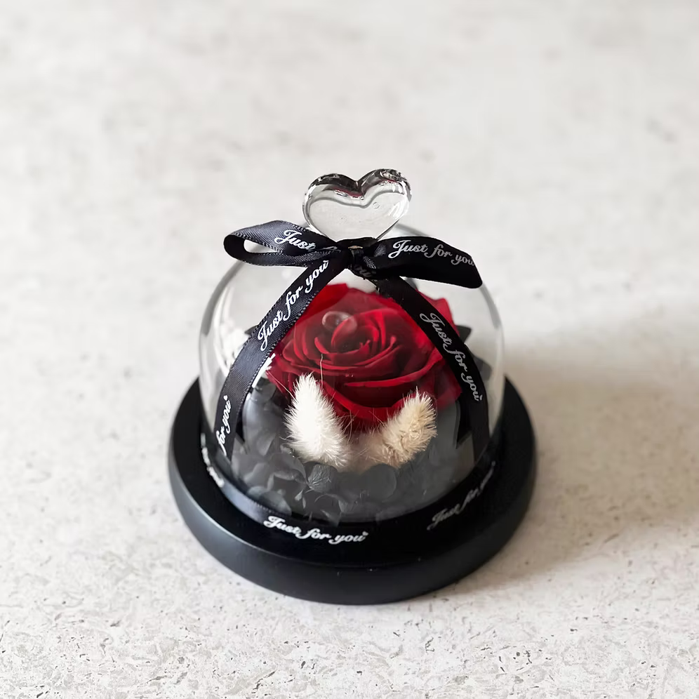 ורד נצח אדום גדול בפעמון זכוכית