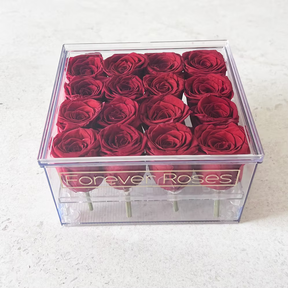 16 ורדי נצח אדומים בקופסת אקרילי