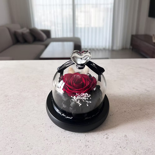 ורד נצח אדום גדול בפעמון זכוכית