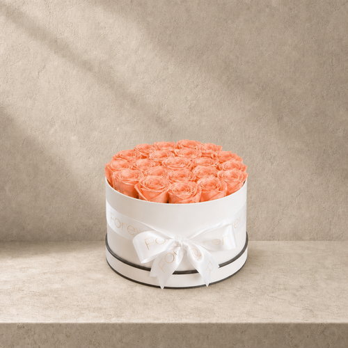White Box · 21 Peach Eternal Roses